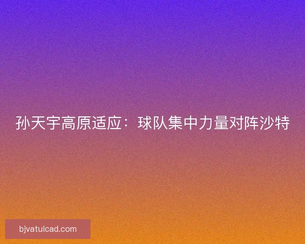孙天宇高原适应：球队集中力量对阵沙特