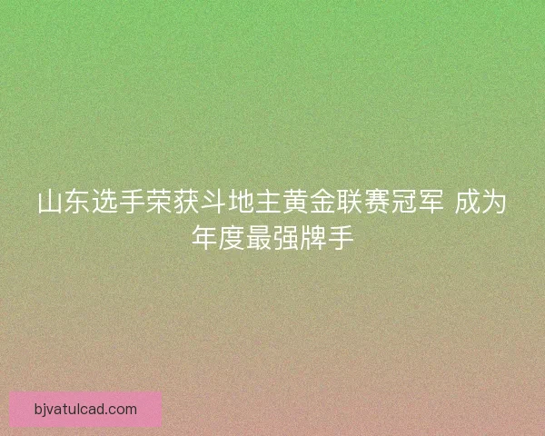 山东选手荣获斗地主黄金联赛冠军 成为年度最强牌手 山东选手荣获斗地主黄金联赛冠军 成为年度最强牌手