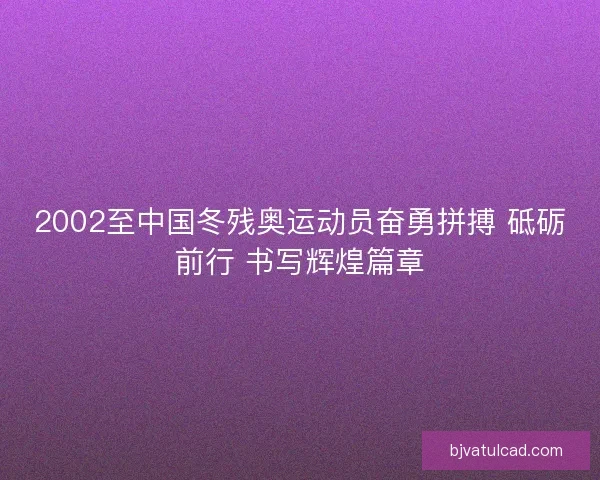 2002至中国冬残奥运动员奋勇拼搏 砥砺前行 书写辉煌篇章